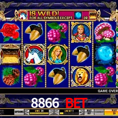 A Emoção da Loteria na 8866 bet: Uma Chance de Mudança de Vida